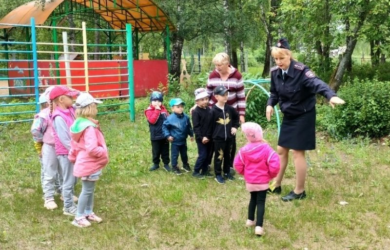 Дорожные полицейские Лихославльского муниципального округа навестили дошколят